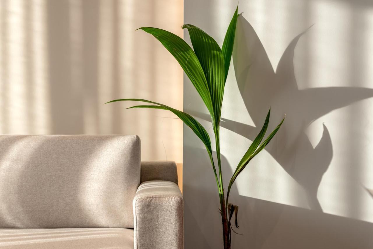 Soleado Villa Chania Chania  Ngoại thất bức ảnh